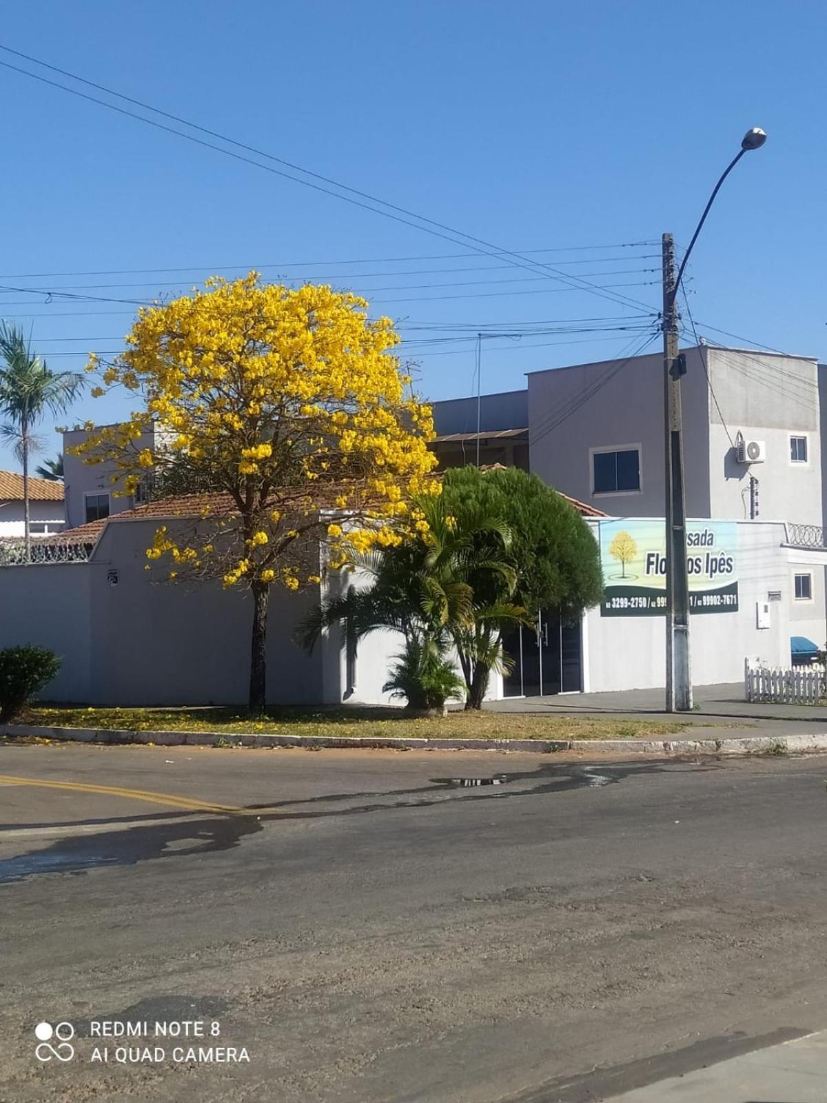 Pousada Flor Dos Ipes Trindade  Exterior photo