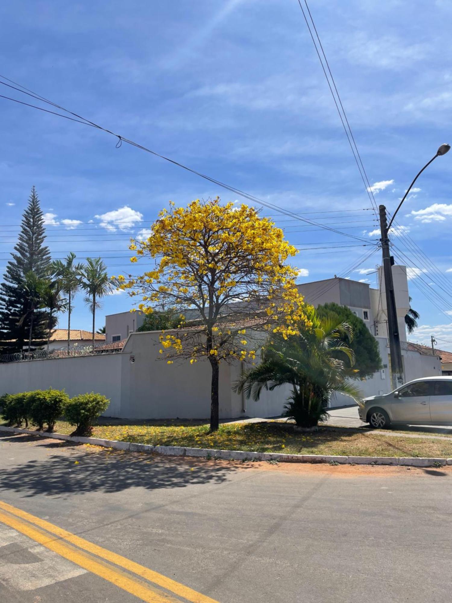 Pousada Flor Dos Ipes Trindade  Exterior photo